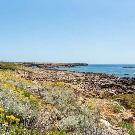 Villa Delfin Sant Lluis